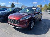 Certified 2021 Ford Escape SE image 3