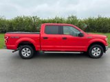 Used 2020 Ford F150 XLT image 3