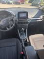 Used 2019 Ford EcoSport SE w/ SE Convenience Package image 5