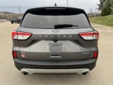 Certified 2022 Ford Escape SE w/ Convenience Package image 3