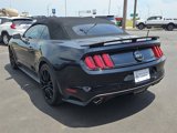 Used 2017 Ford Mustang GT Premium w/ Equipment Group 401A image 5