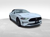 Used 2019 Ford Mustang Premium w/ Equipment Group 201A image 3
