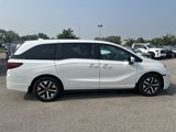 Certified 2025 Honda Odyssey EX-L image 4
