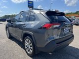 Used 2019 Toyota RAV4 XLE Premium image 5