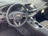 New 2025 Cadillac CT4 Premium Luxury image 2