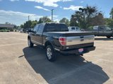 Used 2013 Ford F150 Platinum image 3