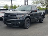 Used 2014 Ford F150 FX4 w/ FX Appearance Package image 3