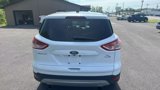 Used 2014 Ford Escape SE image 6