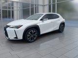 Used 2021 Lexus UX 200 w/ Premium Package image 4