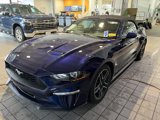 Used 2019 Ford Mustang Convertible w/ Equipment Group 101A image 4