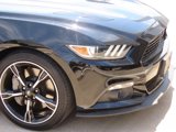 Used 2016 Ford Mustang GT Premium w/ Equipment Group 401A image 5