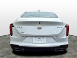 Certified 2020 Cadillac CT4 Luxury w/ Sun And Sound Package image 4