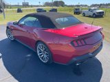 Certified 2024 Ford Mustang GT Premium image 4