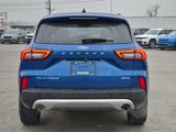 Used 2023 Ford Escape Platinum image 6