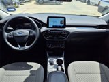 Used 2022 Ford Escape SE w/ SE Sport Appearance Package image 3