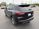 Used 2024 Ford Escape ST-Line w/ Tech Pack #1 image 5
