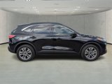 Used 2022 Ford Escape SEL image 2