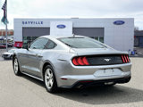 Used 2023 Ford Mustang Coupe image 4