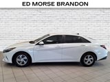 Used 2021 Hyundai Elantra SE image 2