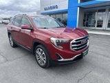 Certified 2019 GMC Terrain SLT w/ Preferred Package image 2