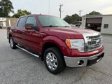Used 2014 Ford F150 XLT w/ Equipment Group 302A Luxury image 3