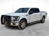 Used 2016 Ford F150 XLT w/ Equipment Group 301A Mid image 5