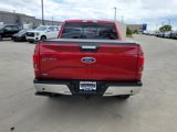 Used 2016 Ford F150 XLT w/ Equipment Group 302A Luxury image 4