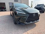 New 2025 Lexus NX 250 FWD w/ Accessory Package (2T) image 5