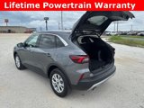Used 2024 Ford Escape Active w/ Tech Pack #1 image 4