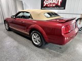 Used 2005 Ford Mustang Premium image 6