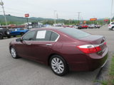 Used 2013 Honda Accord EX-L image 5