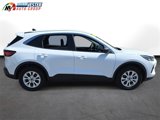 Used 2024 Ford Escape Active image 5