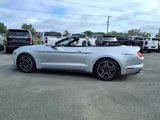 Used 2019 Ford Mustang Premium image 4