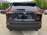 Used 2024 Toyota RAV4 XLE image 5