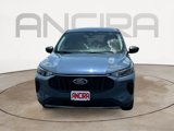 Used 2024 Ford Escape Active image 4