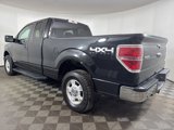 Used 2014 Ford F150 XLT image 6