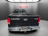 Used 1999 Dodge Dakota 4x4 Club Cab image 5