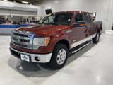 Used 2014 Ford F150 XLT w/ Equipment Group 302A Luxury image 4