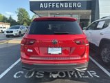 Used 2023 Volkswagen Tiguan SE image 4