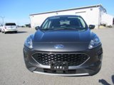 Used 2020 Ford Escape SE image 2