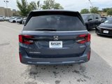 Certified 2025 Honda Odyssey EX-L image 6