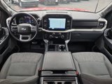 Certified 2022 Ford F150 XLT w/ Equipment Group 302A High image 2