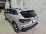 Certified 2024 Ford Escape Platinum image 5