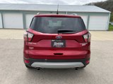 Used 2017 Ford Escape Titanium image 5