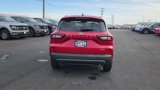 New 2025 Ford Escape ST-Line w/ Tech Pack #1 image 4