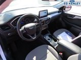 Used 2022 Ford Escape SE image 4