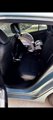 Used 2016 Toyota Prius Four image 3