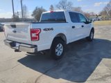 Certified 2019 Ford F150 XLT w/ Equipment Group 301A Mid image 5