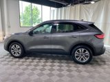 Used 2021 Ford Escape SEL w/ Technology Package image 4