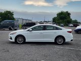 Used 2019 Hyundai Sonata SE image 4